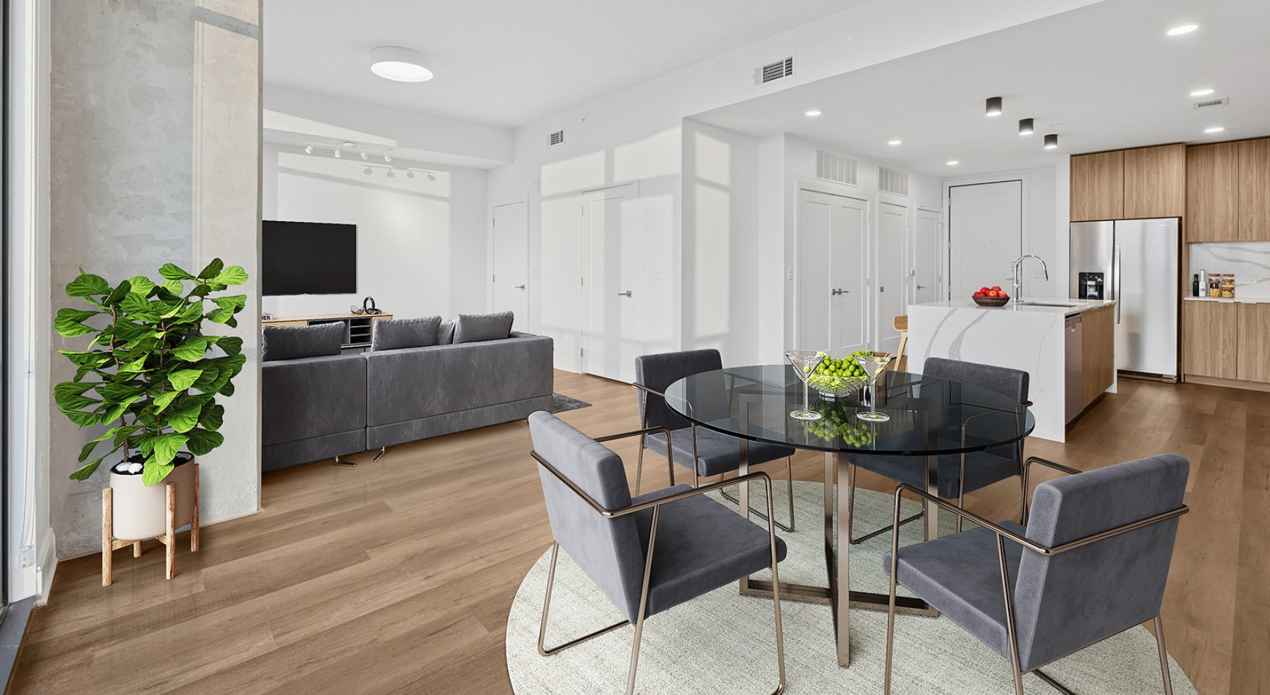 Living Dining Kitchen